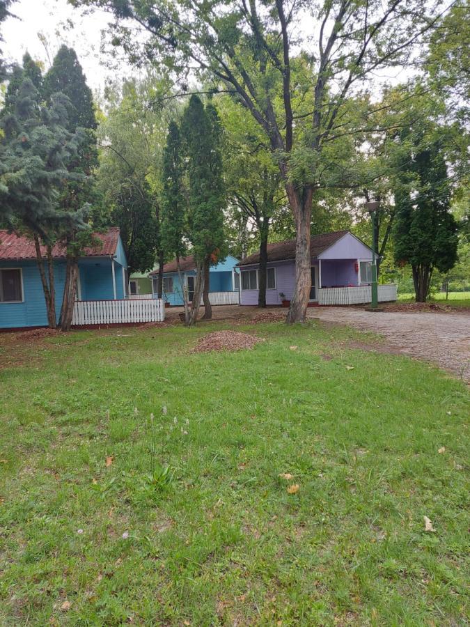 Tulipan Bungalow Camping Resort Gyenesdiás Dış mekan fotoğraf
